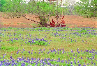 Photo Credit: Larry Brandt